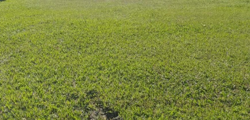 Terreno no Condomínio Acqua di Zimbros Por R$ 480.000 – Bombinhas/SC